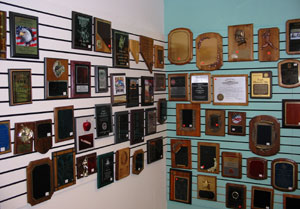 Plaques